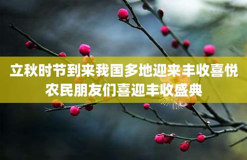 立秋时节到来我国多地迎来丰收喜悦农民朋友们喜迎丰收盛典