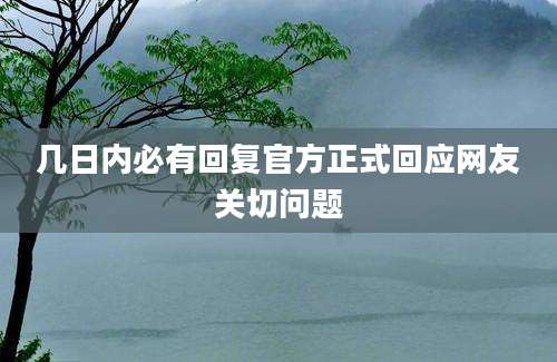 几日内必有回复官方正式回应网友关切问题