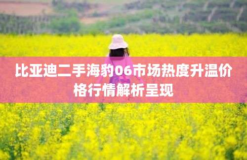 比亚迪二手海豹06市场热度升温价格行情解析呈现