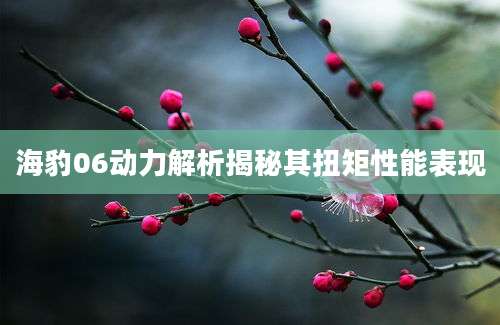 海豹06动力解析揭秘其扭矩性能表现