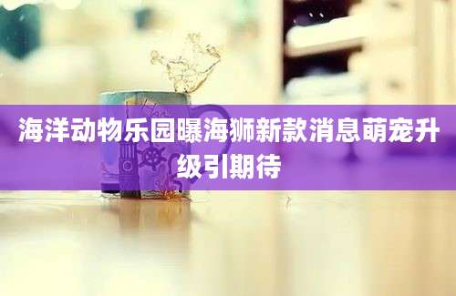 海洋动物乐园曝海狮新款消息萌宠升级引期待