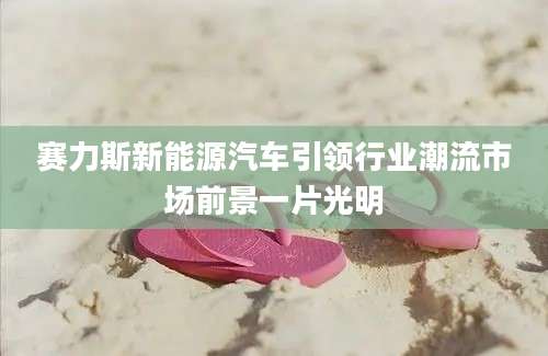 赛力斯新能源汽车引领行业潮流市场前景一片光明