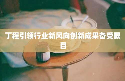 丁程引领行业新风向创新成果备受瞩目