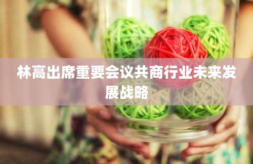 林高出席重要会议共商行业未来发展战略