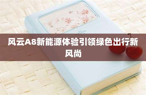 风云A8新能源体验引领绿色出行新风尚