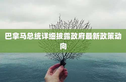 巴拿马总统详细披露政府最新政策动向