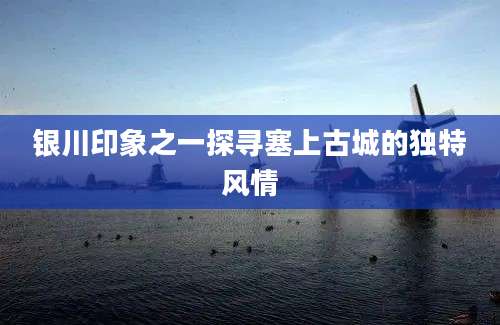 银川印象之一探寻塞上古城的独特风情