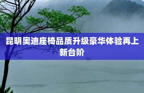 昆明奥迪座椅品质升级豪华体验再上新台阶