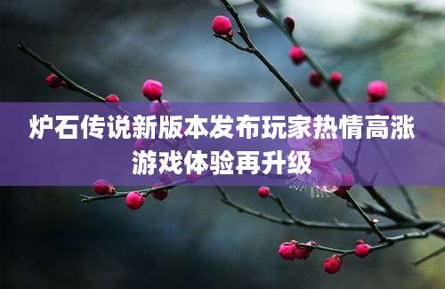 炉石传说新版本发布玩家热情高涨游戏体验再升级