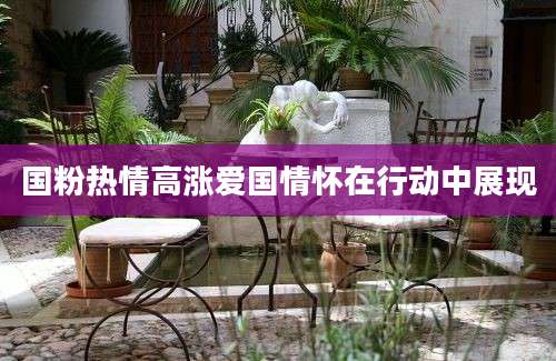 国粉热情高涨爱国情怀在行动中展现