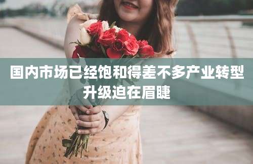 国内市场已经饱和得差不多产业转型升级迫在眉睫