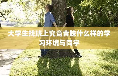 大学生找班上究竟青睐什么样的学习环境与同学