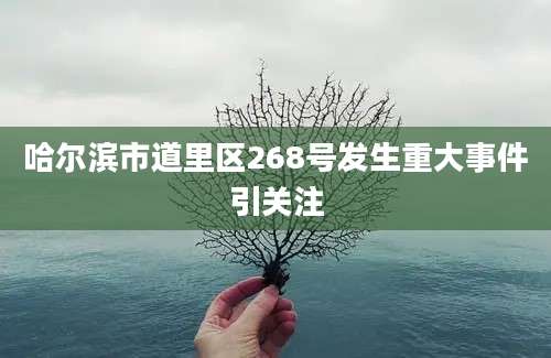 哈尔滨市道里区268号发生重大事件引关注