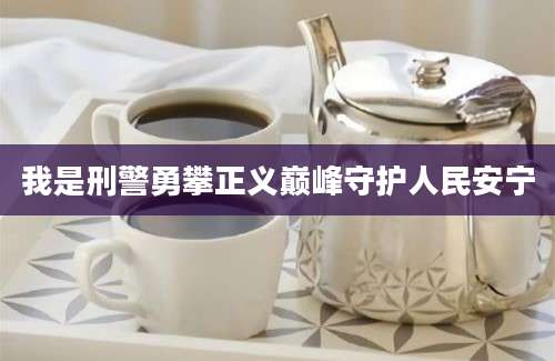 我是刑警勇攀正义巅峰守护人民安宁