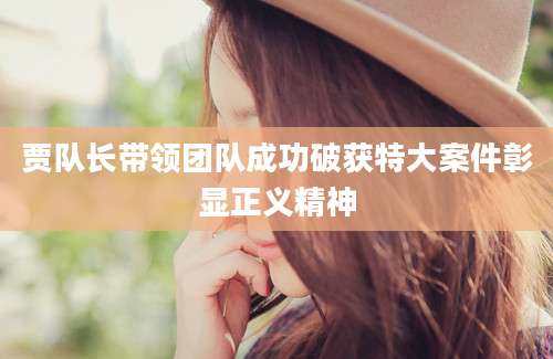 贾队长带领团队成功破获特大案件彰显正义精神