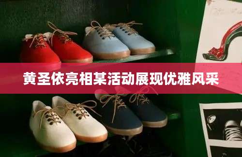黄圣依亮相某活动展现优雅风采