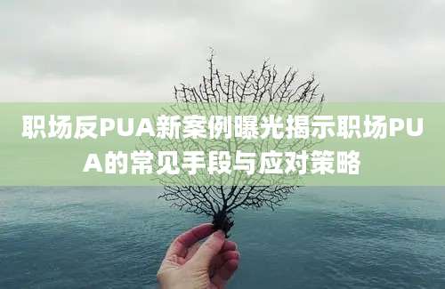 职场反PUA新案例曝光揭示职场PUA的常见手段与应对策略
