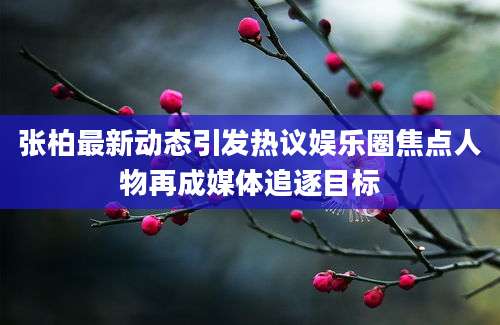 张柏最新动态引发热议娱乐圈焦点人物再成媒体追逐目标