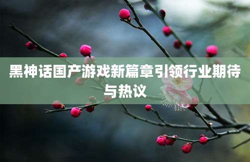 黑神话国产游戏新篇章引领行业期待与热议
