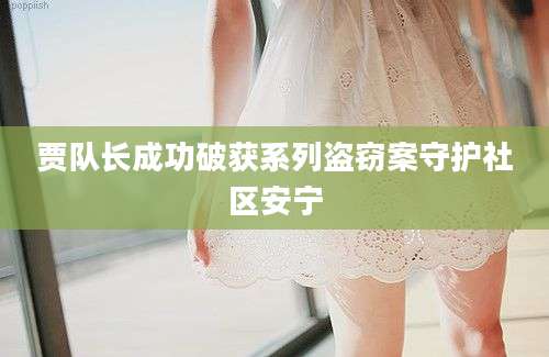 贾队长成功破获系列盗窃案守护社区安宁