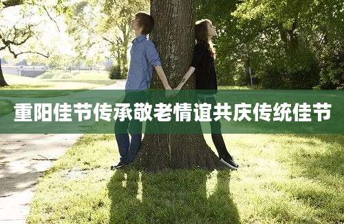 重阳佳节传承敬老情谊共庆传统佳节
