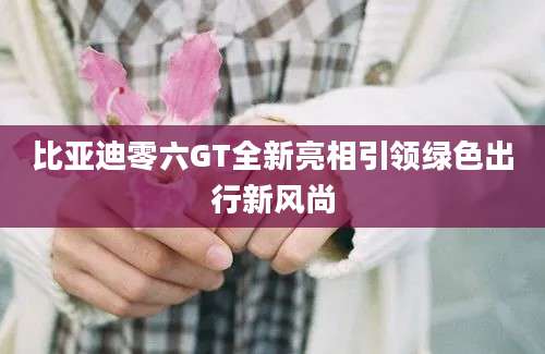 比亚迪零六GT全新亮相引领绿色出行新风尚
