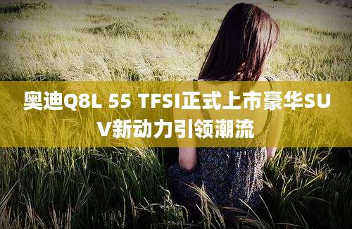 奥迪Q8L 55 TFSI正式上市豪华SUV新动力引领潮流