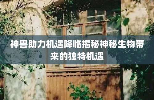 神兽助力机遇降临揭秘神秘生物带来的独特机遇