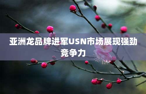 亚洲龙品牌进军USN市场展现强劲竞争力