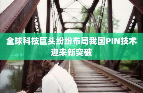 全球科技巨头纷纷布局我国PIN技术迎来新突破