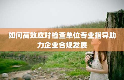 如何高效应对检查单位专业指导助力企业合规发展