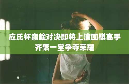 应氏杯巅峰对决即将上演围棋高手齐聚一堂争夺荣耀